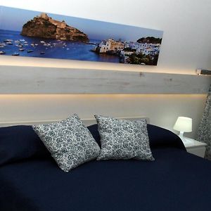 B&B Phistelia